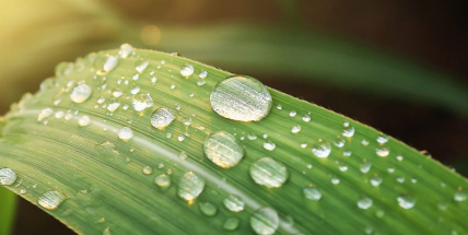 O víkendu bude občas pršet, teploty se budou držet do 20 stupňů