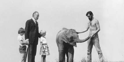 Při natáčení seriálu Pan Tau běhalo po Kotenčicích slůně Bimbo