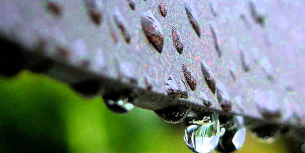 Týden bude z velké části deštivý, nejvyšší teploty se čekají o víkendu