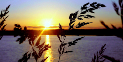 Jaké bude počasí do konce května a v první polovině června? Meteorologové zveřejnili dlouhodobou předpověď