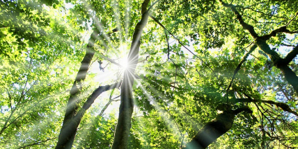 Na víkend se výrazně oteplí, v neděli může být až 26 stupňů