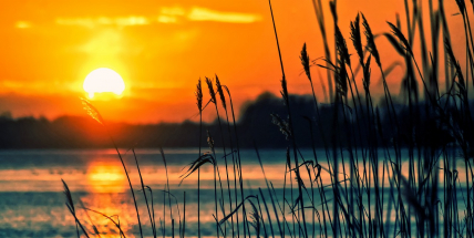 Týden bude polojasný, od středy budou nejvyšší teploty okolo 20 stupňů