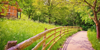 Jaké bude počasí do konce června? Meteorologové zveřejnili dlouhodobou předpověď