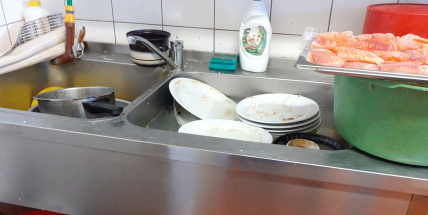 Hygienici zkontrolovali restauraci v Benešově. Čekalo je nemilé překvapení