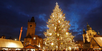 Praha začíná hledat vánoční strom, lidé mohou do půlky září zasílat tipy