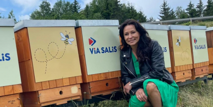 V rámci pilotního projektu bylo u D4 umístěno 10 včelích úlů