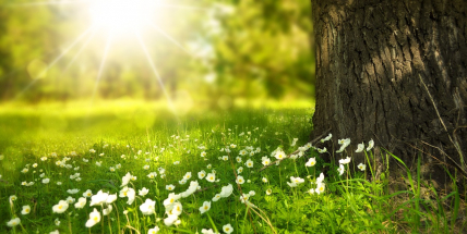 O víkendu se mírně ochladí, objeví se přeháňky a bouřky