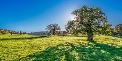 Jaké počasí bude do konce července? Meteorologové zveřejnili dlouhodobou předpověď