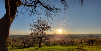 Akce Relax ve svatohorských sadech osvěží výhledem i zásobeným barem
