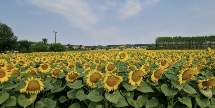 Víkend bude slunečný a velmi teplý