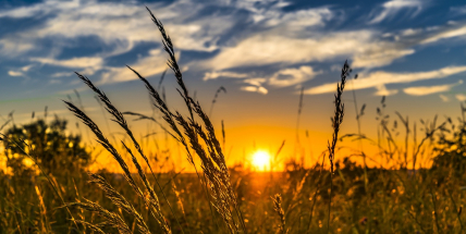 Červen byl teplotně normální, v průměru bylo 17,2 stupně, málo ale pršelo
