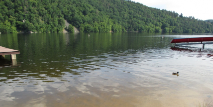 Kvalita vody ve středočeských koupalištích je přes teplé počasí stále výborná
