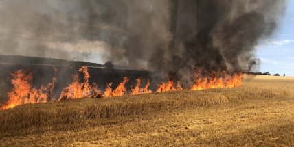 Středočeští hasiči v těchto dnech častěji vyjíždějí k požárům polí