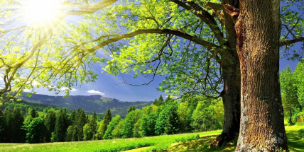 Jaké bude počasí do konce července a v první polovině srpna? Meteorologové zveřejnili dlouhodobou předpověď