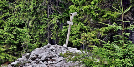 Naučná stezka v Brdech seznamuje s nehostinnými podmínkami na svahu vrchu Tok