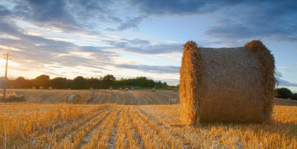 Po mírném ochlazení budou teploty v příštích dnech stoupat