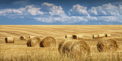 Z tropických třicítek spadnou teploty na 20 stupňů