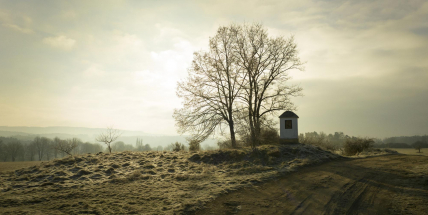 Martin Andrle: Důležitá je pro mě divokost a obyčejnost