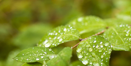 O víkendu se oteplí, meteorologové očekávají déšť
