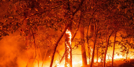 Ministerstvo vydalo přehled práv a povinností klientů i CK v souvislosti s požáry