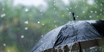 Tento týden bude zataženo s deštěm. O víkendu se ochladí až na šestnáct stupňů