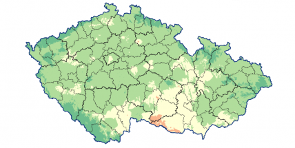 Čas vyrazit na houby, míní mykologové i meteorologové