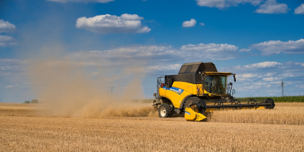 Sklizeň ve středních Čechách zpomalily deště, pod střechou je 46 procent obilovin