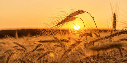 Jaké počasí bude do konce srpna? Meteorologové zveřejnili dlouhodobou předpověď