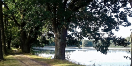 Dnešek byl v Česku na třicítce míst nejchladnějším 7. srpnem