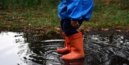 Chladnější počátek srpna než nyní byl před 18 lety a deštivější byl jen rok 2006