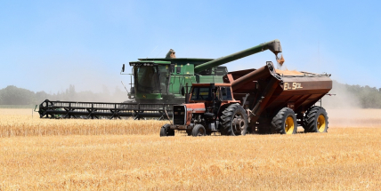 Úroda ve středních Čechách bude letos kvůli suchu i dešti nižší a méně kvalitní