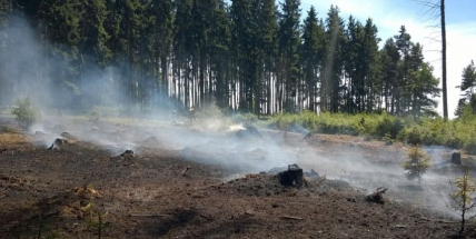 Dobrovolní hasiči měli minulý týden napilno, jeli hasit lesní porost i osobní vůz