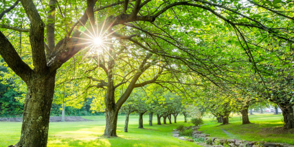 Jaké bude počasí do konce prázdnin? Meteorologové zveřejnili dlouhodobou předpověď