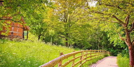 O víkendu teploty vystoupají nad 30 stupňů, bouřky se objeví už jen výjimečně
