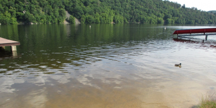 Hygienici hodnotili kvalitu vody ve středních Čechách, v Pilském rybníku evidují zvýšený obsah sinic a chlorofylu