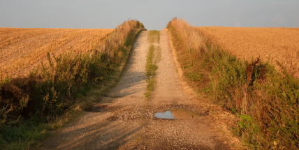 Jaké počasí bude do konce srpna a v první polovině září? Meteorologové zveřejnili dlouhodobou předpověď