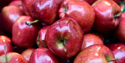 Ovocnáři: Řetězce vykoupí kilogram jablek za 14 Kč a prodají ho i za 60 Kč