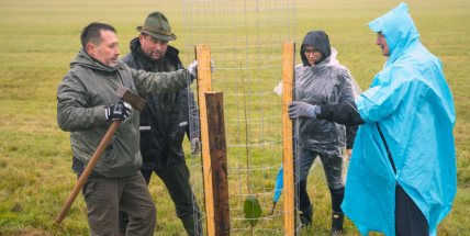Jak na Brdské stromsázení? Kvůli mimořádnému zájmu zavedou Vojenské lesy i kyvadlovou dopravu