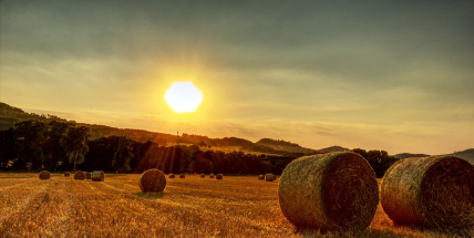 V závěru prázdnin se vrátí letní teploty, o víkendu bude kolem 25 stupňů