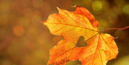 Jaké bude počasí do konce září? Meteorologové zveřejnili dlouhodobou předpověď