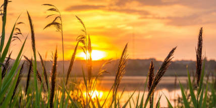 Po velmi teplém začátku týdne přijde ve středu ochlazení a déšť