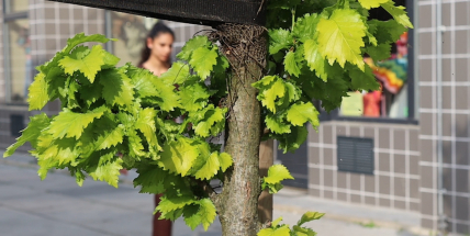 Kousek od naplnění snu. Klientka Sabina snad brzy rozšíří tým Bedny