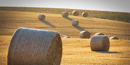 O víkendu se vrátí letní teploty, v neděli bude až 28 stupňů