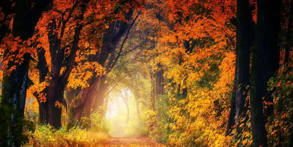 Jaké bude počasí do konce září a začátkem října? Meteorologové zveřejnili dlouhodobou předpověď