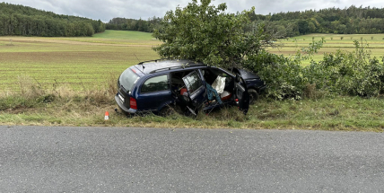 Na Příbramsku přejel senior do protisměru a havaroval do stromu