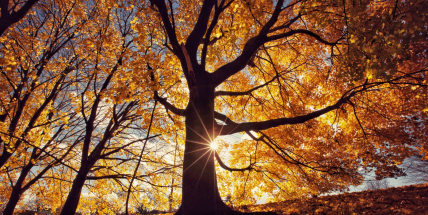 Jaké počasí bude v říjnu? Meteorologové zveřejnili dlouhodobou předpověď