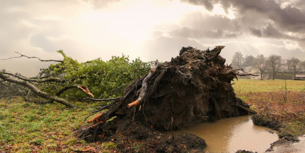 Mimořádně teplé počasí večer ukončí studená fronta se silným větrem