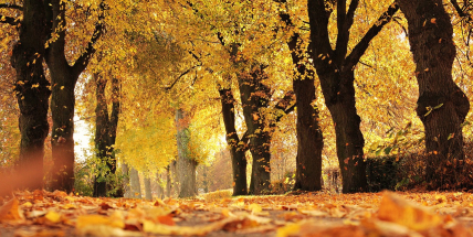 Česko dnes zažilo jeden z nejteplejších říjnových dnů v historii