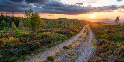 Porotce fotosoutěže Letní Brdy nejvíce zaujal Západ na Jordánu