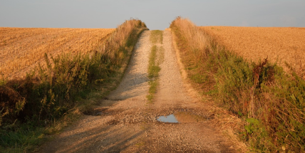 Letošní září v ČR bylo s průměrnou teplotou 16,5 st. nejteplejší od roku 1961
